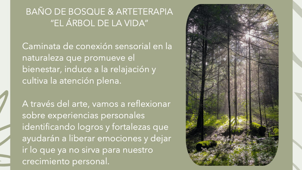 Baño de Bosque en cdmx Baño De Bosque & ArteTerapia - Imagen 1