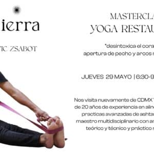 Masterclass Vic Zsabot