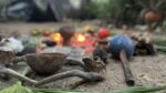 Kasa Temazcal Ceremony Tulum - Imagen 2