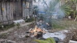 Kasa Temazcal Ceremony Tulum - Imagen 4