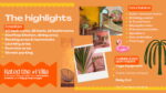 The Pineapple Mansion - Imagen 2
