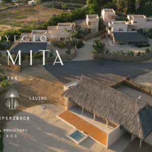 Proyecto Palmita