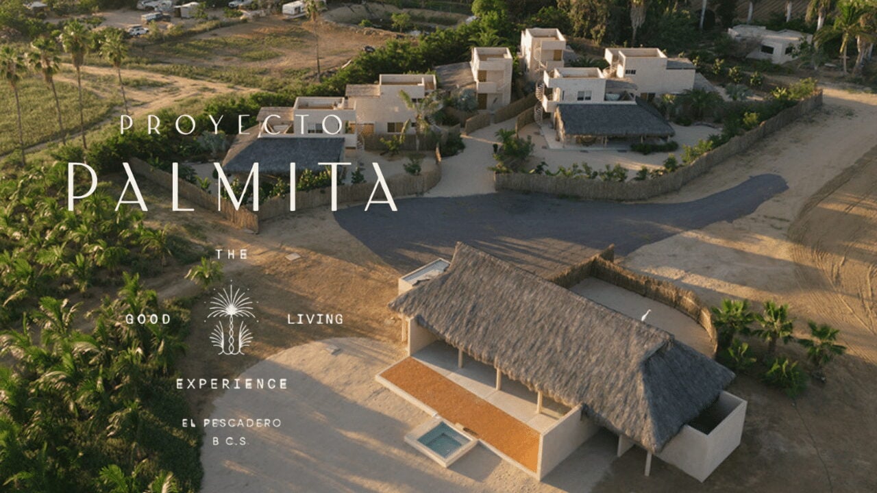 Tamaño - Venues (8) Proyecto Palmita - Imagen 1