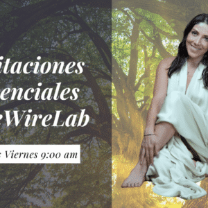 Meditaciones presenciales en ReWireLab