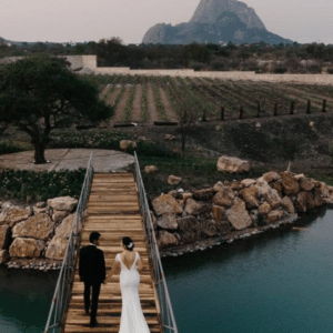 Viñedo Puertas de la Peña