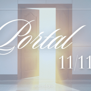 Portal 11/11