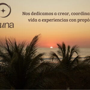 Aluna Comunidad