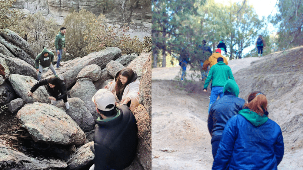 Retiro RESET imagen 4