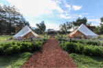 Attesi Lodge - Imagen 4