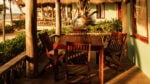 Ahau Collection - Imagen 2