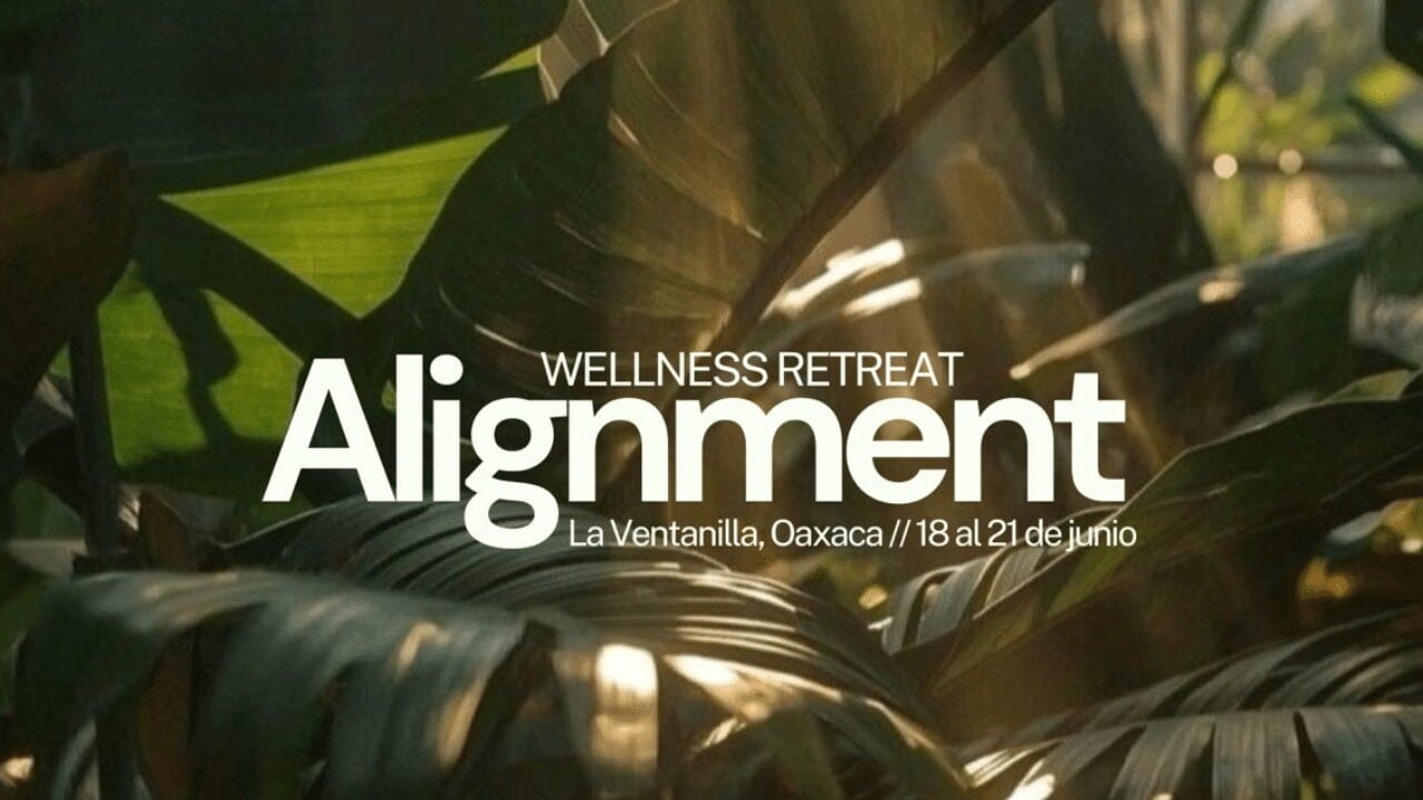 Tamaño Fotos Experiencias y Venues Alignment: Wellness Retreat en La Ventanilla, Oaxaca - Imagen 1