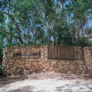 Pepem Holistic Retreats