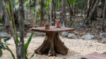 Glamping Mayan Glam - Imagen 6