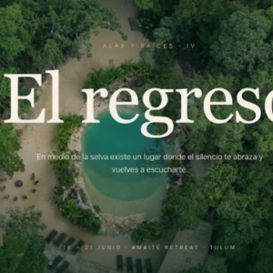 Alas y Raíces · IV — El Regreso 🌿✨