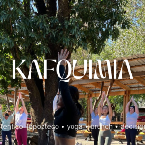 KAFQUIMIA · De la visión a la realidad