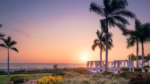 Vidanta Nuevo Vallarta - Imagen 7