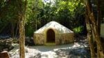 Cenote Ka’ax - Imagen 10